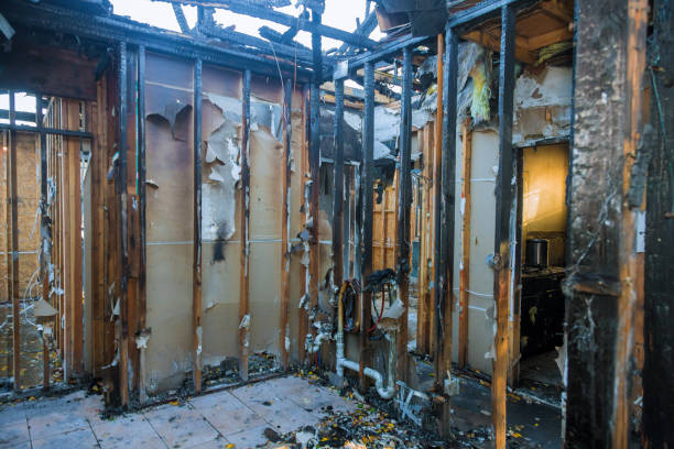 Professional Odor Removal technician working in Clarksville, TX