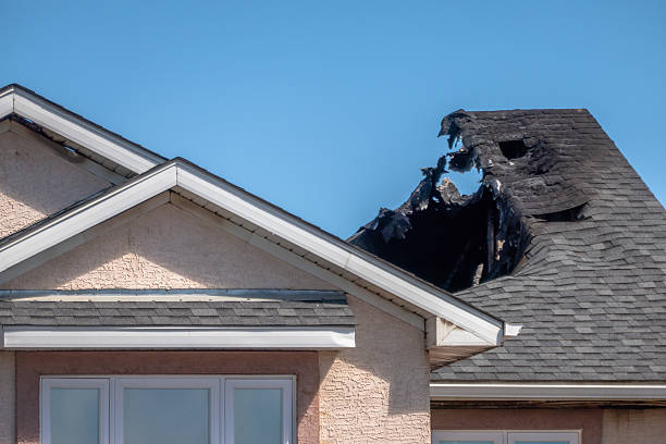 Top rated local Odor Removal specialists in Clarksville, TX
